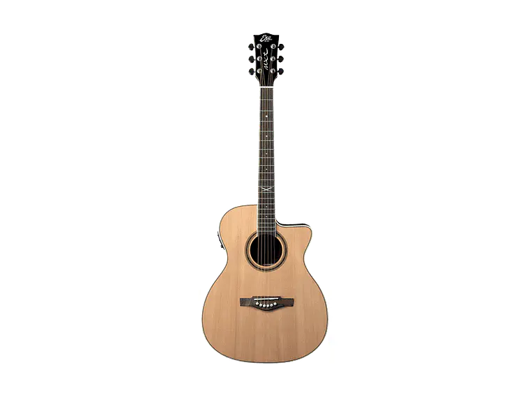 Eko NXT A100 A/E Cutaway Natural 3