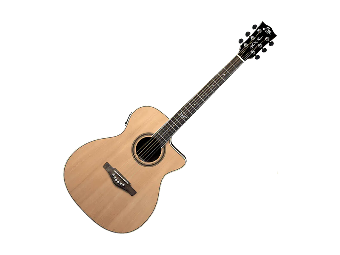 Eko NXT A100 A/E Cutaway Natural 4