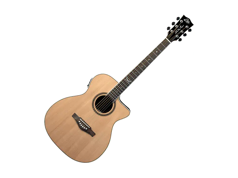 Eko NXT A100 A/E Cutaway Natural 4