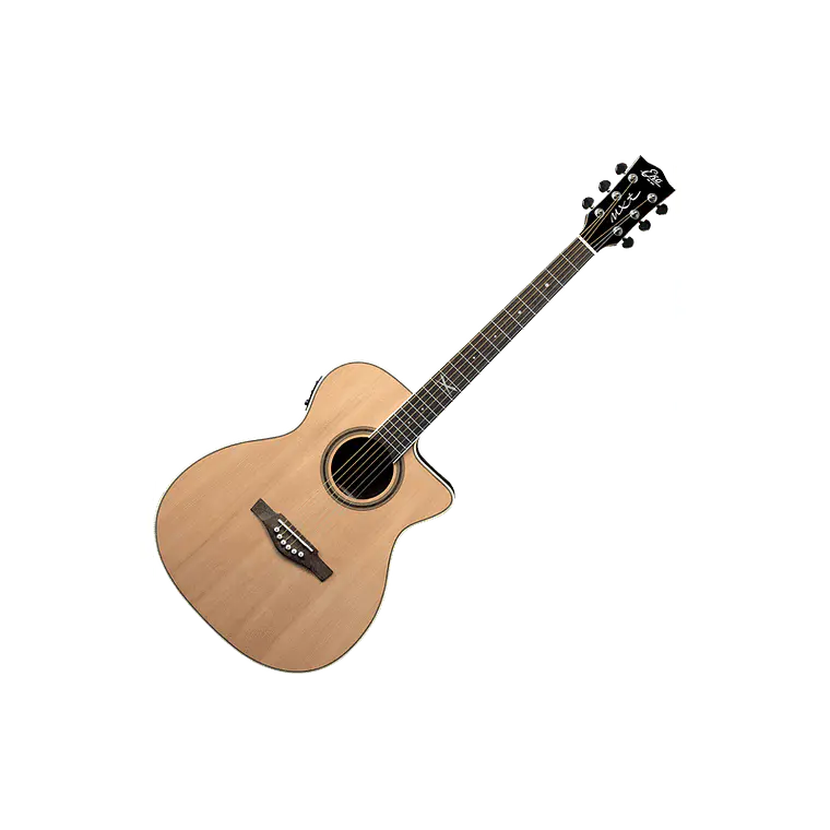 Eko NXT A100 A/E Cutaway Natural 4