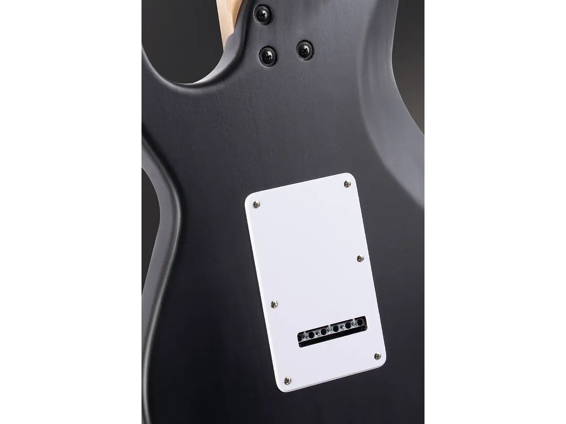 Cort G110 OPBK  5
