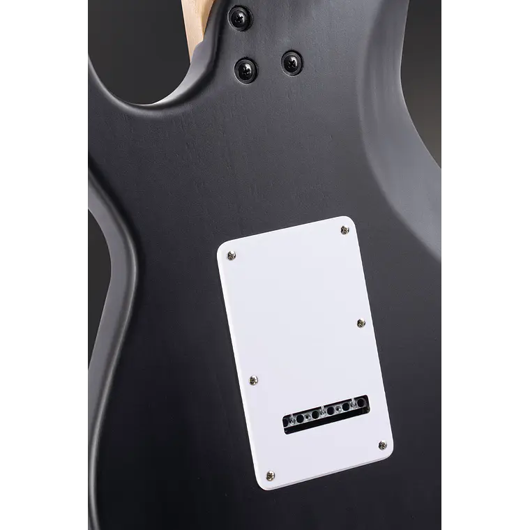 Cort G110 OPBK  5