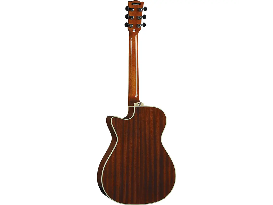 Eko NXT A100 A/E Cutaway Natural 7