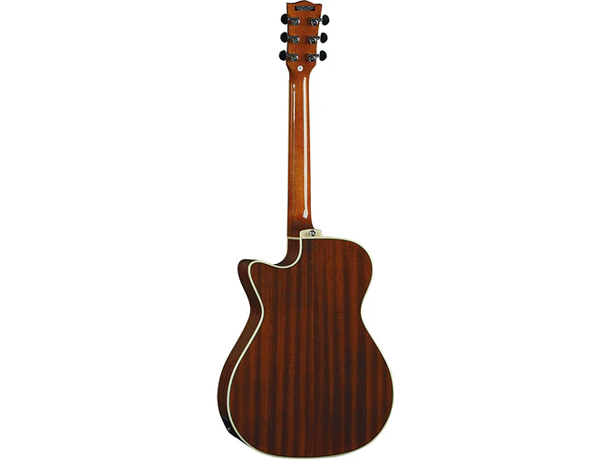 Eko NXT A100 A/E Cutaway Natural 7