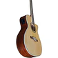 Eko NXT A100 A/E Cutaway Natural - Thumbnail 9