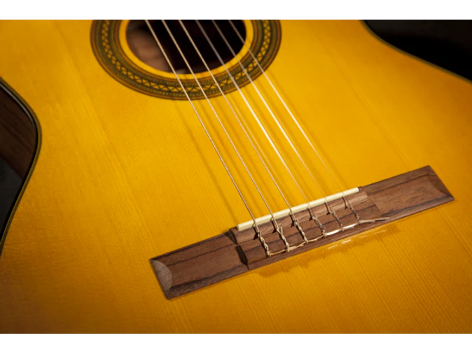 Takamine GC1CE-Nat 4