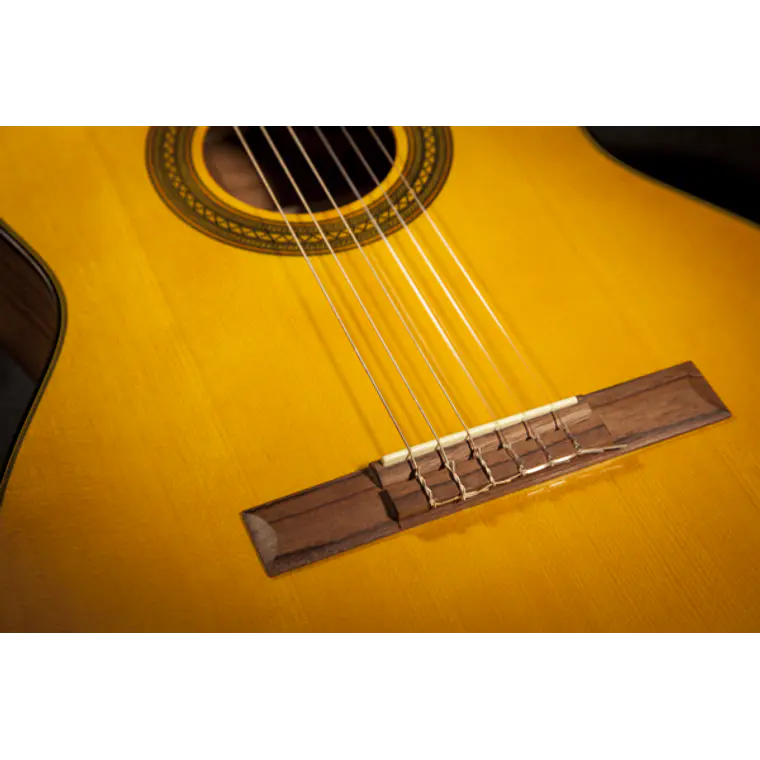 Takamine GC1CE-Nat 4