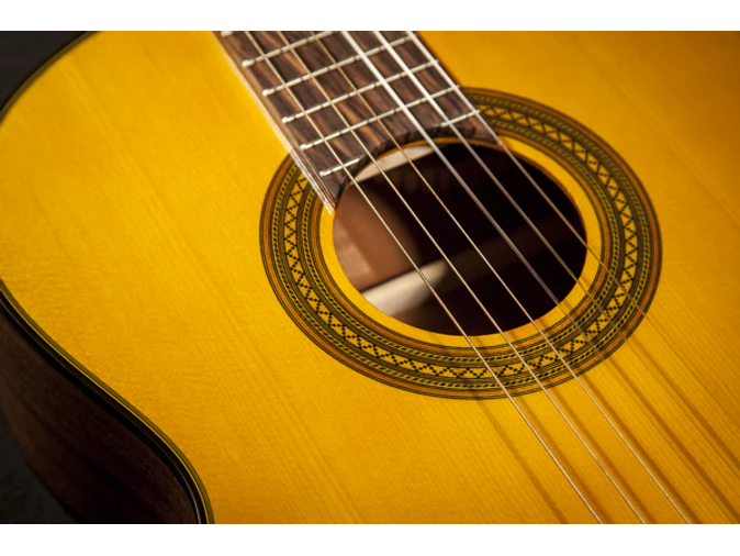 Takamine GC1CE-Nat 5
