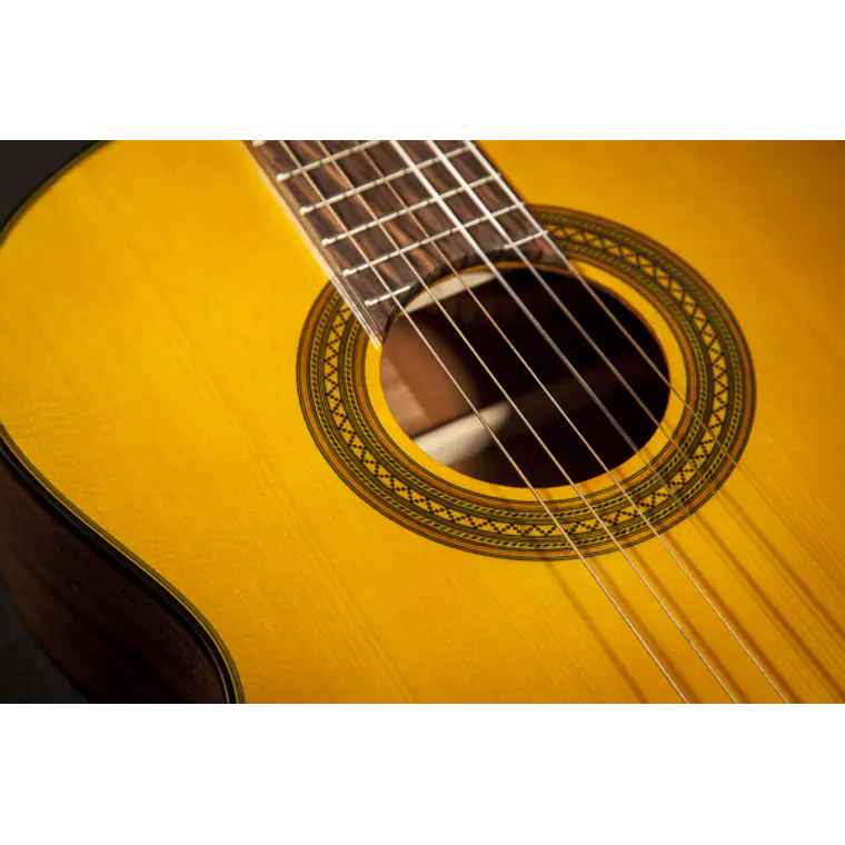 Takamine GC1CE-Nat 5