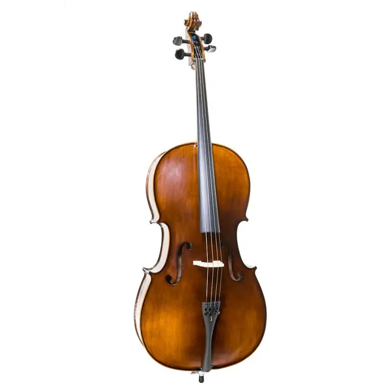 INSTRUMENTOS DE CORDAS