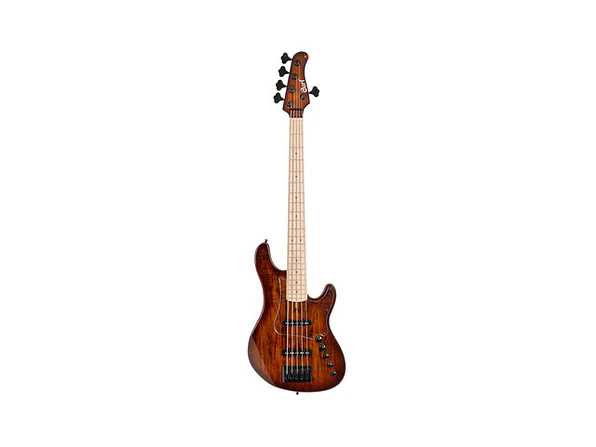 CORT GB-Fusion 5 ABB w/bag 1