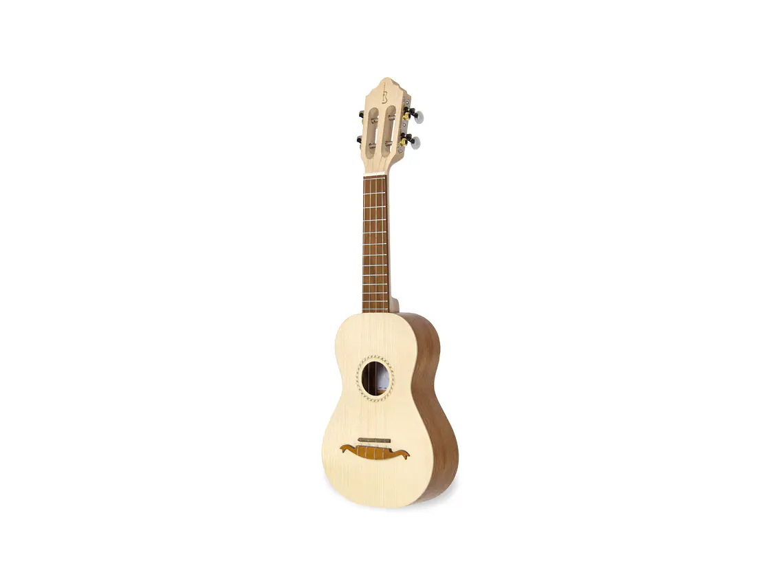 Cavaquinho APC 100 2