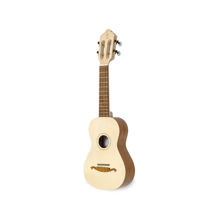 Cavaquinho APC 100 2