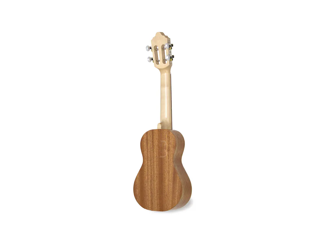 Cavaquinho APC 100 3