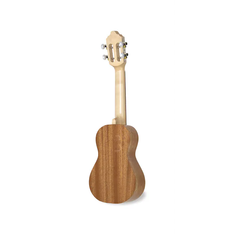 Cavaquinho APC 100 3