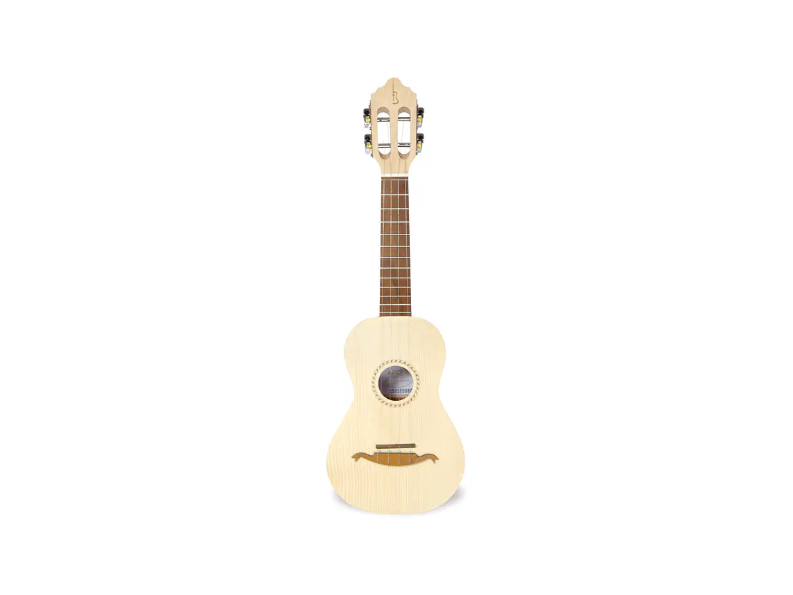 Cavaquinho APC 100 1