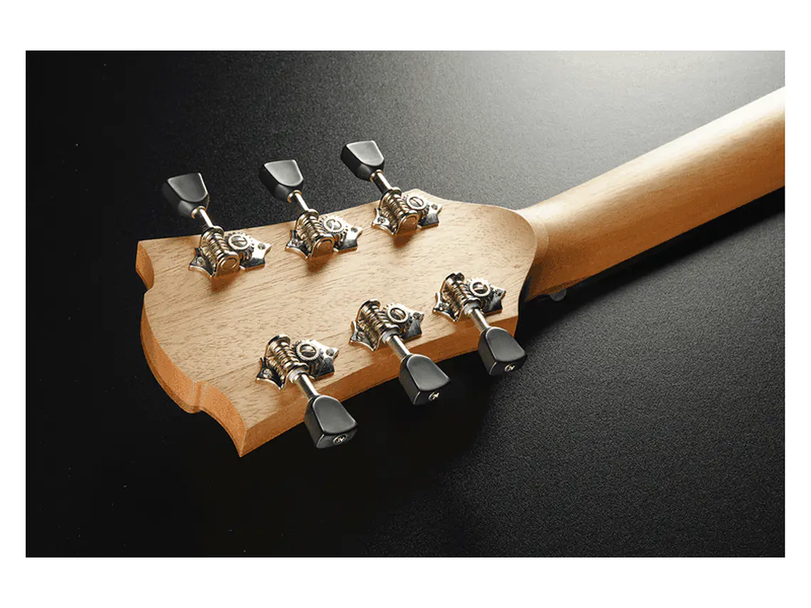 LÂG AUDITORIUM CUTAWAY TRAMONTANE 70 A/E - NATURAL 4