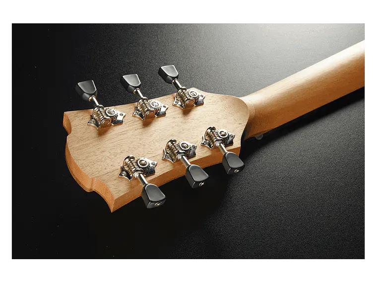 LÂG AUDITORIUM CUTAWAY TRAMONTANE 70 A/E - NATURAL 4