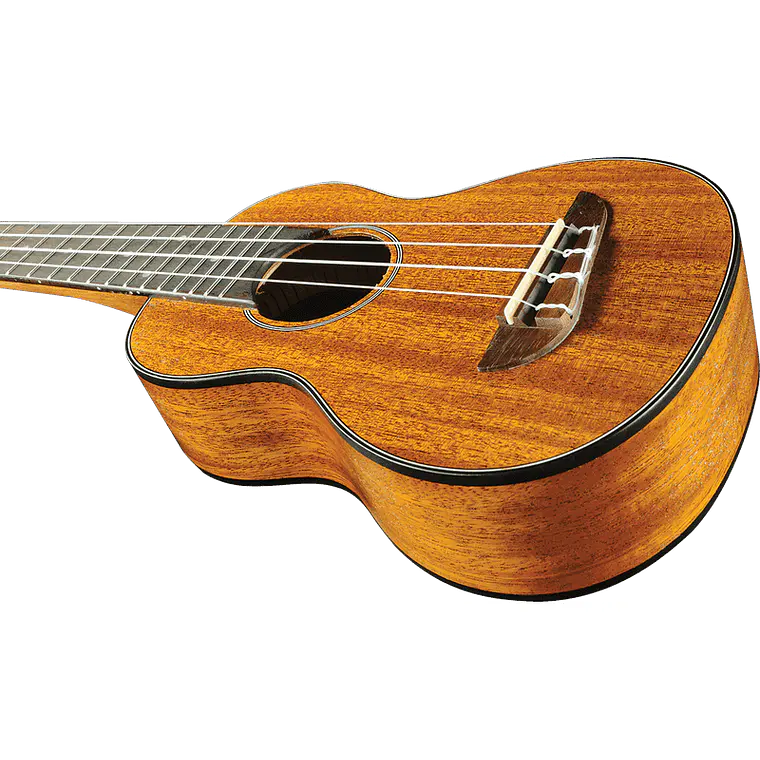 Pack Ukulele Eko Duo Soprano c/ saco e acessórios 7