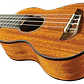 Pack Ukulele Eko Duo Soprano c/ saco e acessórios - Thumbnail 7