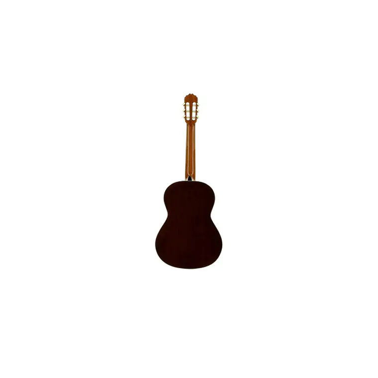 José Torres JTC-10 + Gigbag JTB-10  3