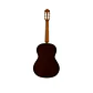 José Torres JTC-10 + Gigbag JTB-10  - Thumbnail 3