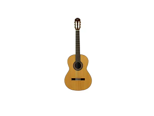 José Torres JTC-20 + Gigbag JTB-10