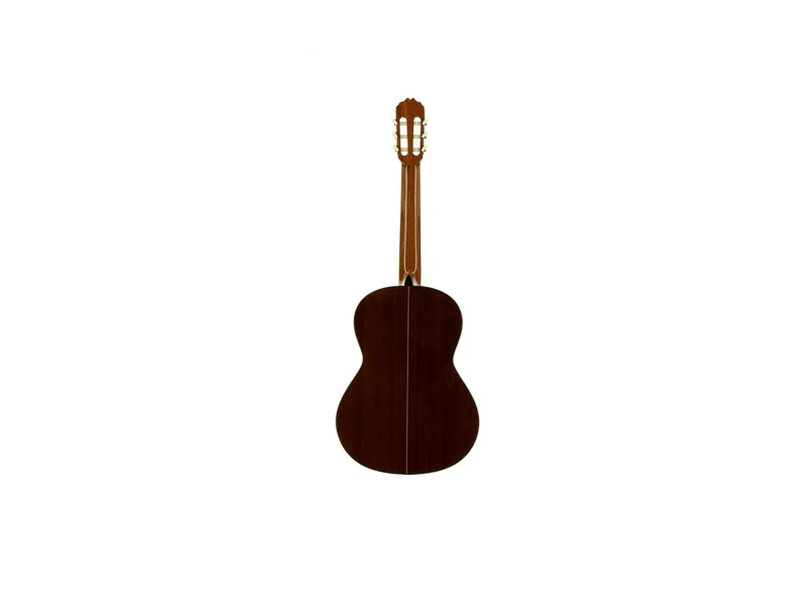José Torres JTC-20 + Gigbag JTB-10 6