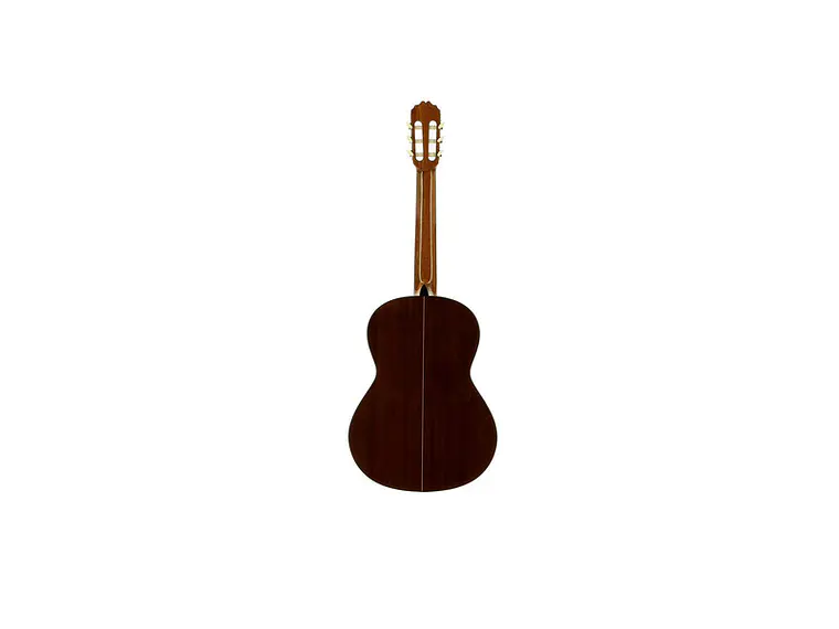 José Torres JTC-20 + Gigbag JTB-10 6