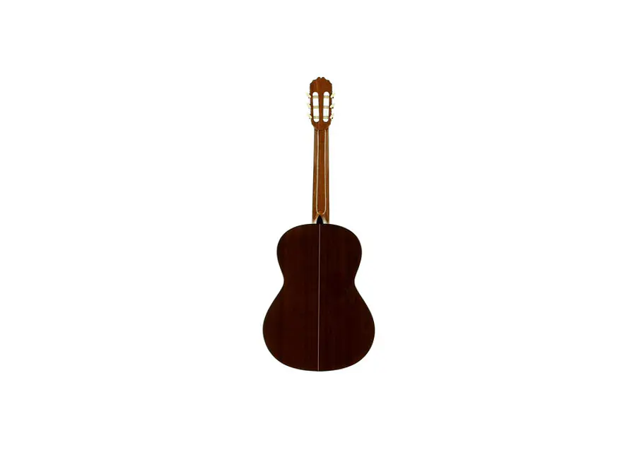 José Torres JTC-20 + Gigbag JTB-10 PACK 6