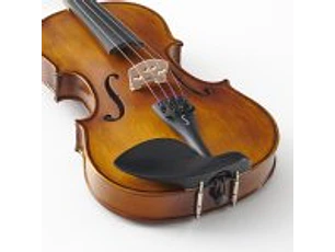 Violino Stentor Graduate set