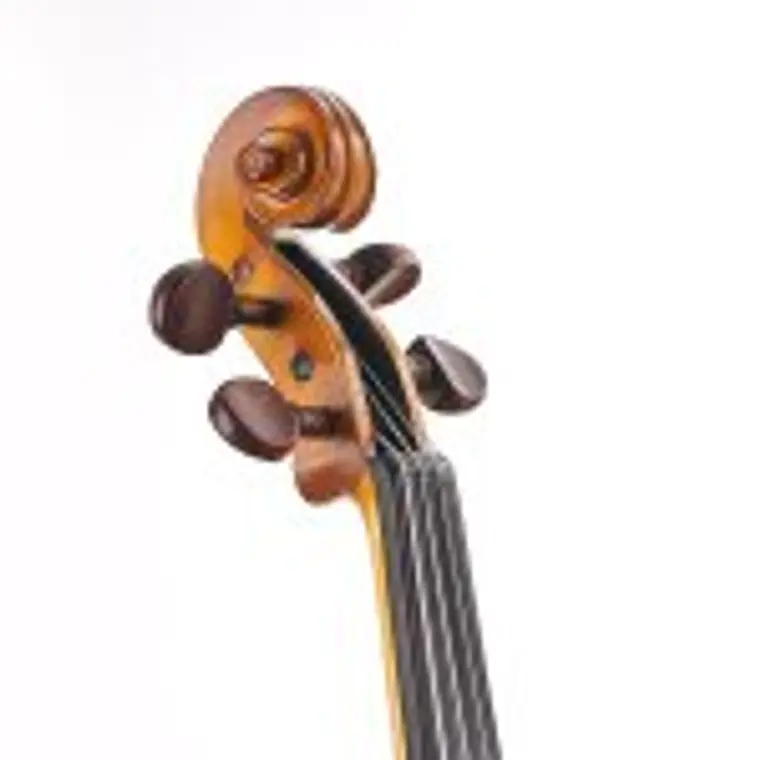 Violino Stentor Student I 1/4  5