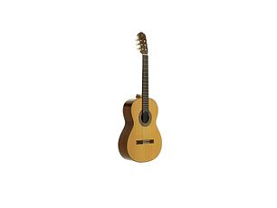 José Torres JTC 20 