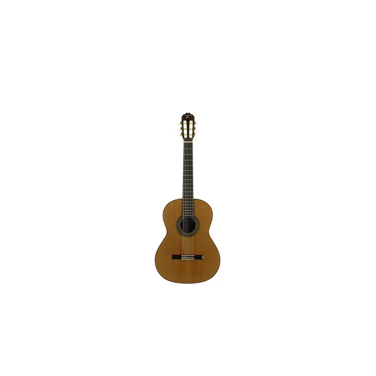 José Torres JTC-30 1