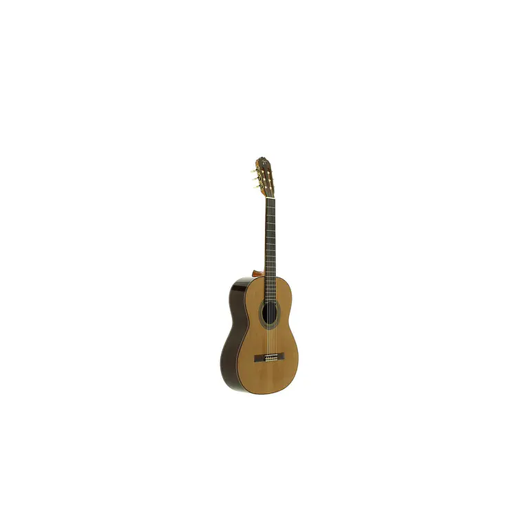 José Torres JTC-30 4
