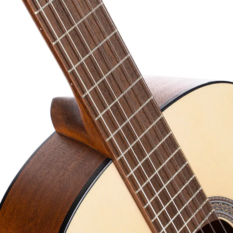 CORT AC100DX OP W/BAG 2