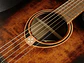 LÂG DREADNOUGHT CUTWAY TRAMONTANE 70 A/E - BLACK & BROWN - Thumbnail 5