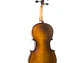 Viola Stentor Student II SH Set 15'' - Thumbnail 2