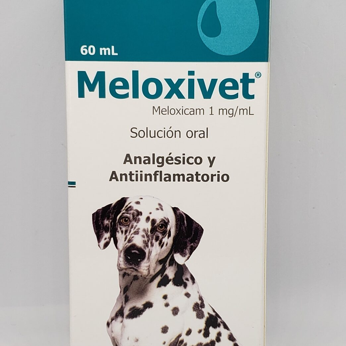 MELOXIVET Oral 60mL. Meloxicam Dragpharma 1