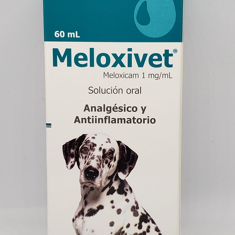 MELOXIVET Oral 60mL. Meloxicam Dragpharma 1