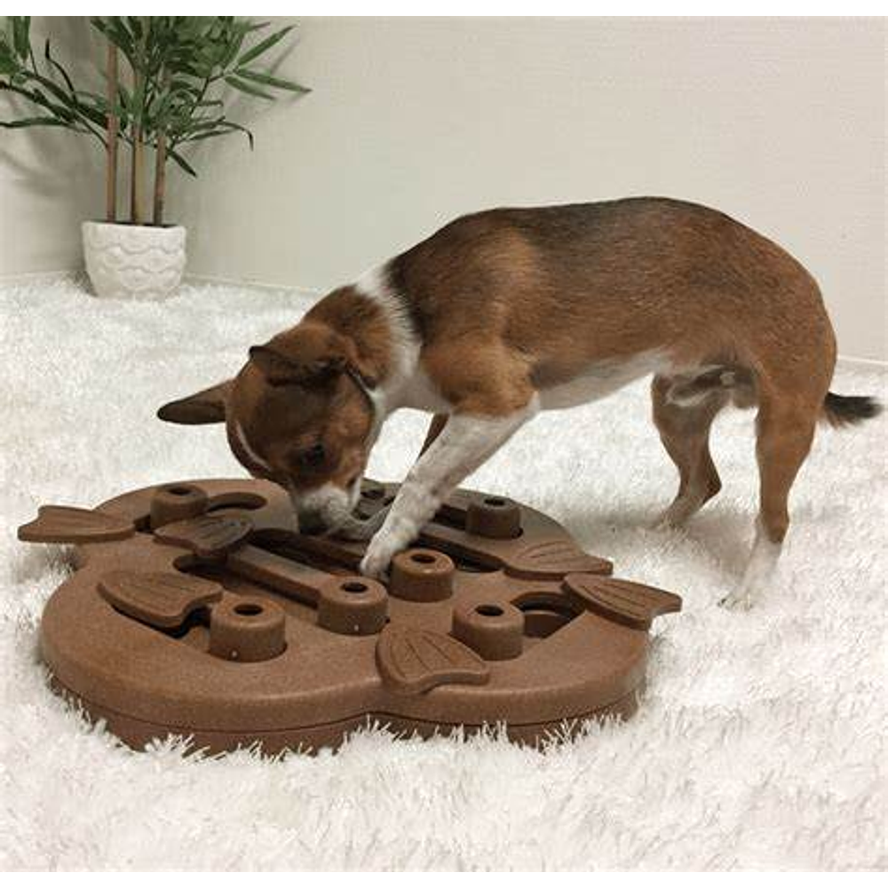 NINA OTTOSSON DOG PUZZLE HIDE N SLIDE NIVEL 2