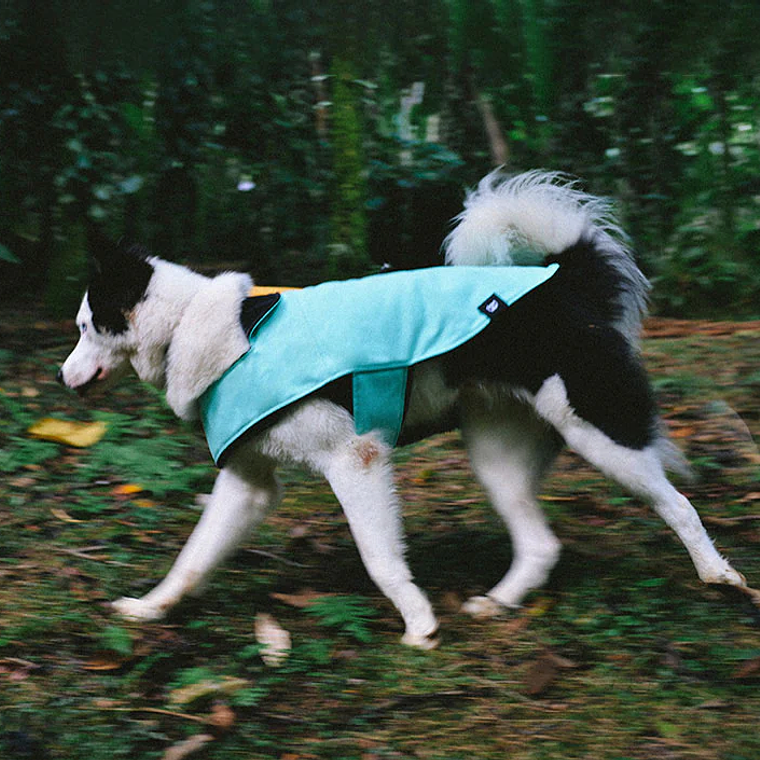 ZEEDOG Winter Coat MINT 1