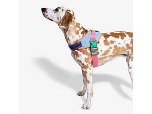 FLYHARNESS Galaxy - Arnés para Perros Talla 3