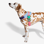 FLYHARNESS Galaxy - Arnés para Perros Talla 3