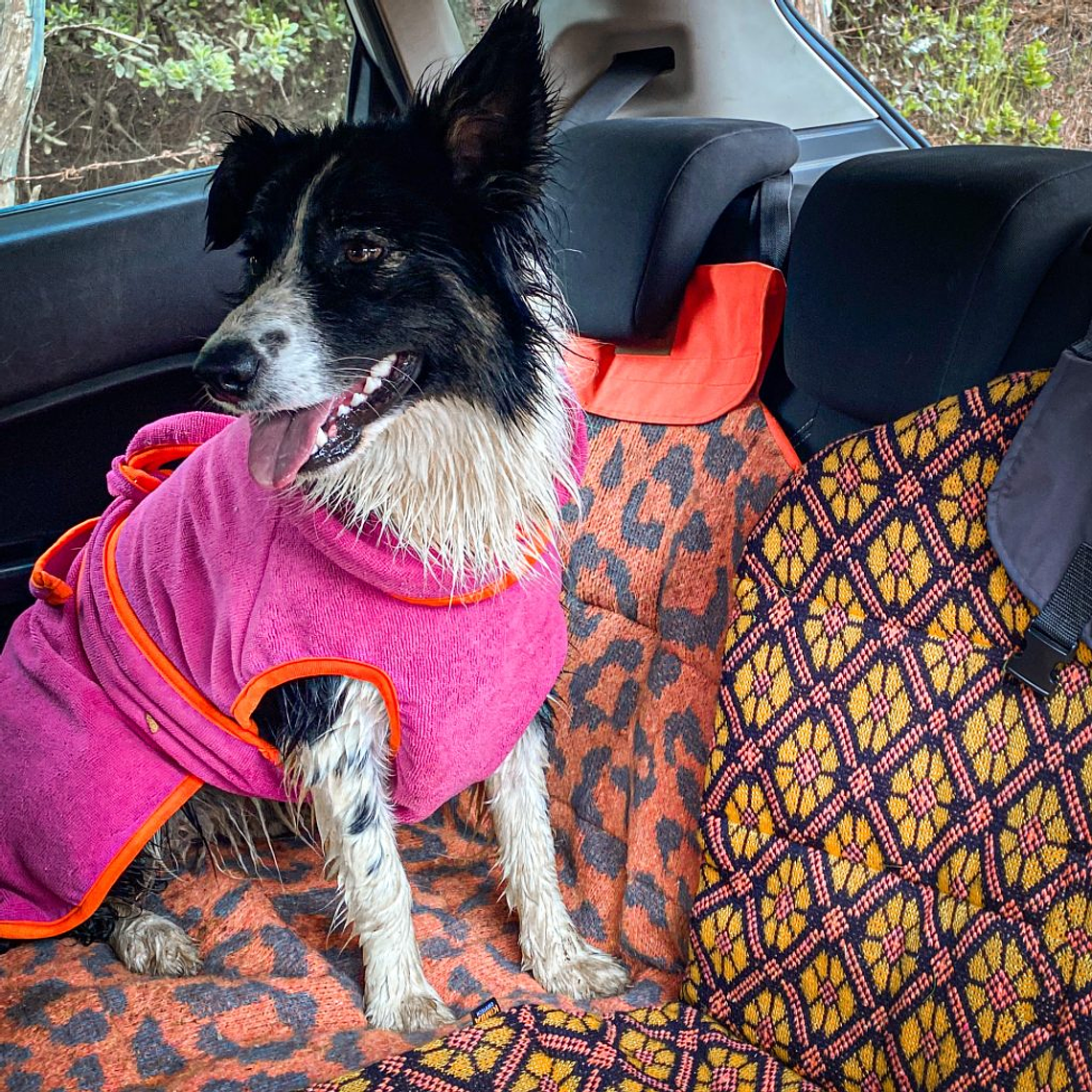 KIMBA PET Capa Toalla Drydog Rosado 2