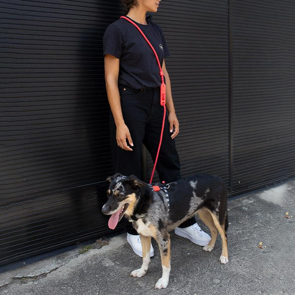 ZEEDOG HANDSFREE LEASH NEON CORAL Correa para perros 3