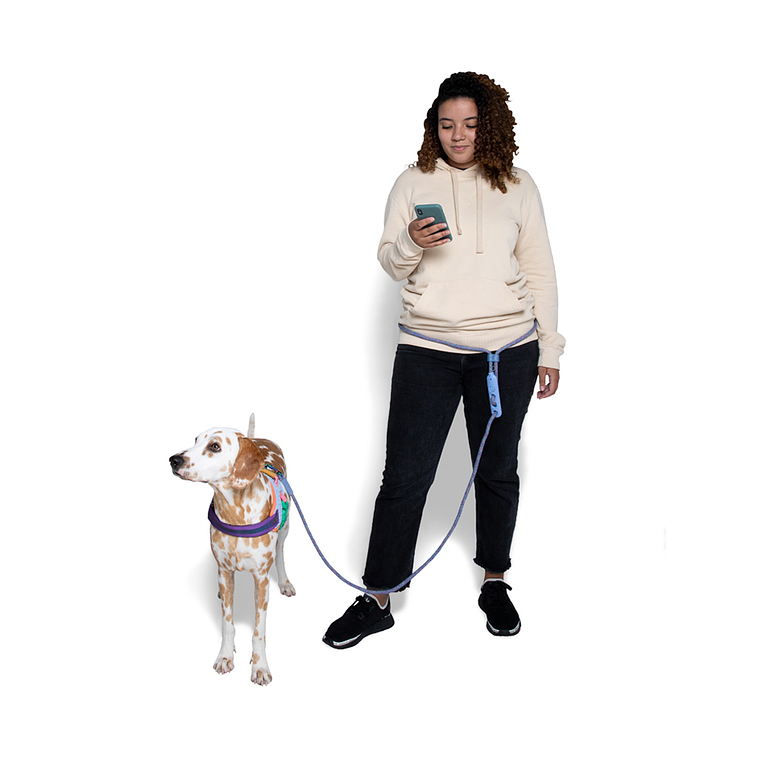 ZEEDOG HANDSFREE LEASH ANDROMEDA Correa para perros 3