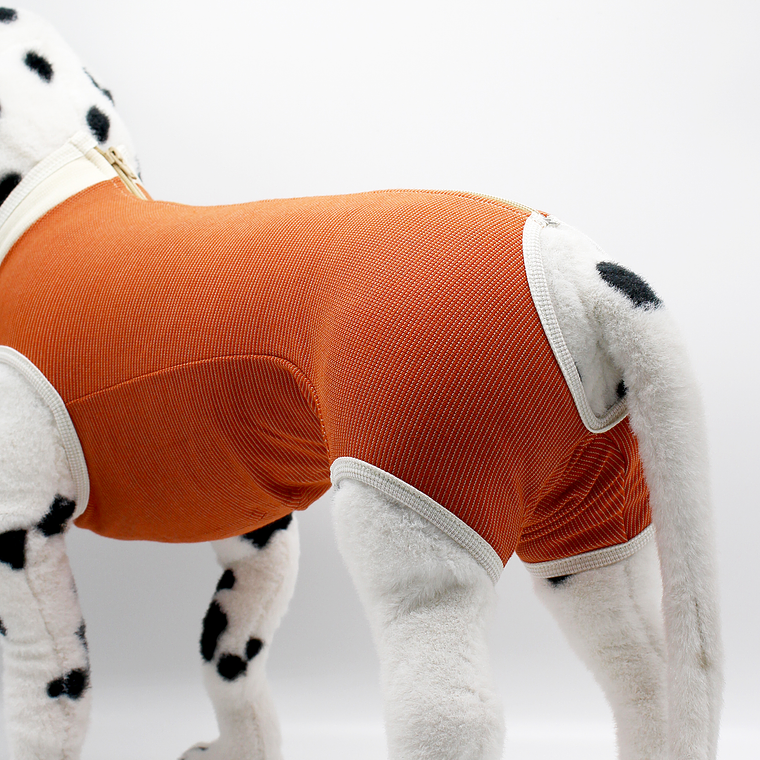 Kimba Pets Body Cobre Tradicional 2