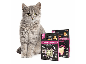 Qchef Zupet Snack Gatos Dental fitness