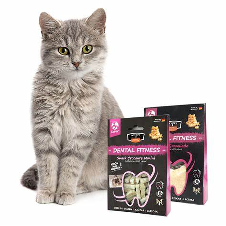 Qchef Zupet Snack Gatos Dental fitness 1